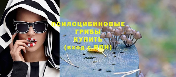 первитин Белокуриха
