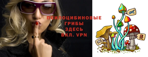 сатива Беломорск