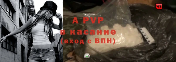 сатива Беломорск
