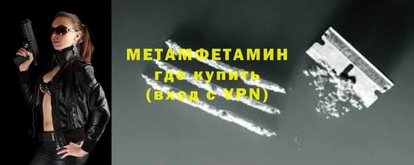 сатива Беломорск