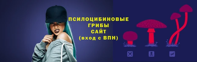 стаф Балахна