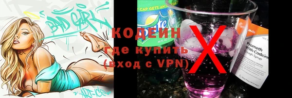 сатива Беломорск