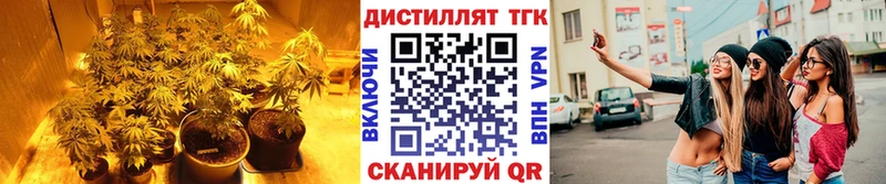 Дистиллят ТГК Wax  цена наркотик  Трубчевск 